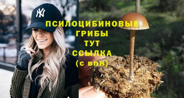 круглые Алексин