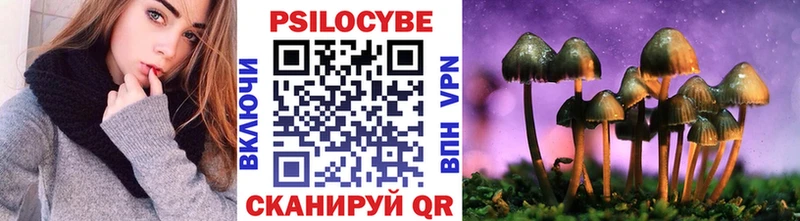 цена   Лениногорск  Псилоцибиновые грибы мухоморы 