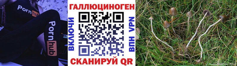 Псилоцибиновые грибы MAGIC MUSHROOMS Лениногорск